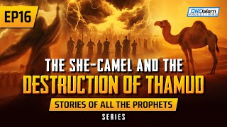 The She-Camel & The Destruction Of Thamud | EP 16 | Stories Of The Prophets Series