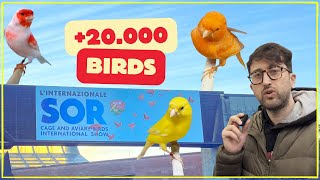 83rd International Bird Show SOR 2024: Full Exhibition at Modena Fiere (English Subtitles)