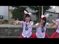 【pv】恋するバニー white rabbits