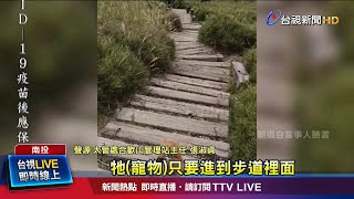 今年修法首開罰! 女帶狗攻合歡山遭檢舉