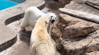 豪太とユキ、あと何日一緒にいれるかな♡♡