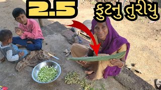 આવડા મોટા ઘીસોડા 🔥🔥 || Avda Mota Gisoda || Vilash Mayur Vlogs