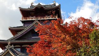 京都の紅葉「伏見桃山城公園」（2021年11月11日　京都市伏見区 Autumn Leaves in Kyoto Fushimi-momoyama castle）