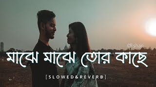 Majhe Majhe Tor Kache (মাঝে মাঝে তোর কাছে) | Love Express || Bengali LoFi song | new song