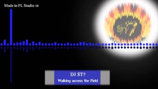 DJ ST7 - Walking across the Field