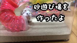 【ジャンガリアン】砂浴び場を作りました