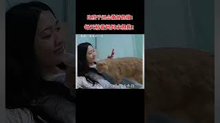 一只比孩子还会撒娇的猫，会说人话，每天粘着妈妈亲亲抱抱举高高！#小猫治愈世界 #猫成精了 #粘人猫 #科普 #animals #搞笑