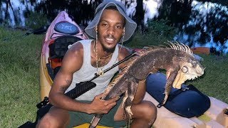 Shooting iguanas from a kayak 🛥️🦎 In Florida Canals .177 Air rifle