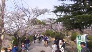 千光寺・文学のこみち （広島県尾道市）