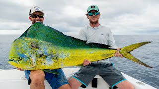 GIANT Dolphin and Dock Fishing in Panama
