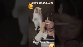 Funniest Videos 2023 😂 Funny Cats 🐱 and Dogs 2  #shorts #YouTube2023 #Pets #funny #Animals #cats
