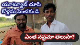 నాటు కోళ్ల లో వచ్చే లావాదేవీలు. కోళ్ళకు వచ్చే రోగాలు.