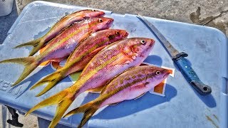 Catch Clean and Cook Blackened YellowTail Snapper!!