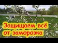 СЛИВА ЦВЕТЁТ, А УРОЖАЯ НЕТ! ЧЕМ ОБРАБОТАТЬ САД ВЕСНОЙ. ЗАЩИТА САДА и ОГОРОДА от ЗАМОРОЗКОВ и ХОЛОДА.