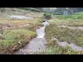 a walk through tea plantation vagamon vagamon kerala teaplantations nature