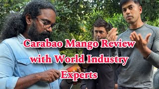 CARABAO REVIEW WITH WORLD INDUSTRY EXPERTS
