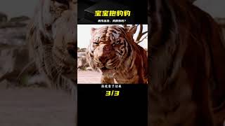 奇幻之 寶寶抱豹豹 狼孩真實存在嗎？因為一個片段看了整個劇情 #电影 #电影解说 #影视 #影视解说 #剧情