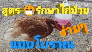 วิธีรักษาไก่ป่วย สูตรโบราณ 3 วันหาย 💯% ไก่เป็นหวัด ไก่ซึม ไก่ไม่กินอาหาร