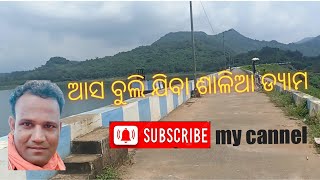 ଆସ ବୁଲି ଯିବା ଶାଳିଆ ଡ୍ୟାମ ||salia dyam banapur #blogs #youtube #odia