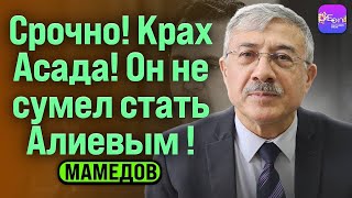 ⚡Чингиз Мамедов | СРОЧНО! КРАХ АСАДА! ОН НЕ СУМЕЛ СТАТЬ АЛИЕВЫМ