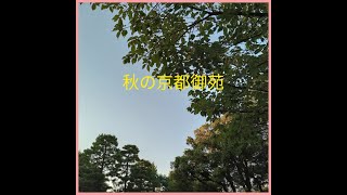 「京都の景色」秋の京都御苑(2022 10/5)