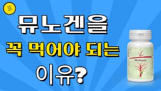 [독일피엠이글스] 뮤노겐을 꼭 먹어야 되는 이유?