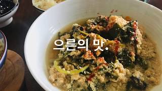 홈메이드 두부와 비지로 만든 비지찌개 (homemade tofu)