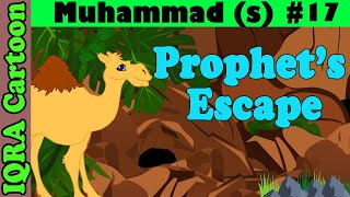 Prophet's escape | Muhammad  Story Ep 17 || Prophet stories for kids : iqra cartoon Islamic cartoon