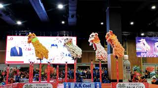 2025 CNY FESTIVAL | Lion Dance Performance by Persatuan Tarian Singa dan Naga Yong Wei Sabah 沙巴勇威體育會