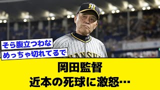 阪神・岡田監督「情けないのう、２年連続優勝のチームやしのう」近本の死球に激怒【なんJ・なんG・2ch・5ch反応集】