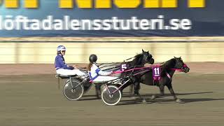 Åbytravet 2022-10-08 Ponny SM