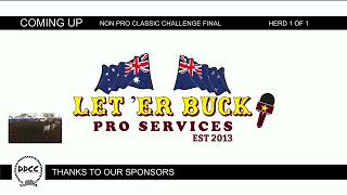 2024 DDCC Futurity Dalby   Non Pro Classic Challenge Final