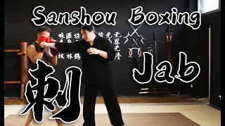 Tai Chi Combat - San Shou Boxing - Jab - 刺拳 The Thrusting Fist