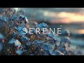 Ambient Guitar for Study & Focus | Relaxing Background Music with Chill Vibes