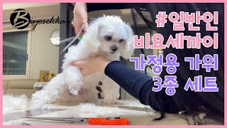 애견미용가위 가정용 3종 가위 세트 ✂ 말티즈 미용 🐶 민가위/커브가위/숱가위