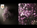 10 Minute Tutorial - Particle Flow Animation Loop in Blender  (Geometry Nodes)