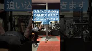 ステカス スミスベンチ 100