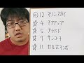 【地方競馬予想】土佐春花賞 3月21日高知5r 3歳 予想