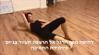 חיזוק והידוק  ירך פנימית