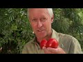 seasol plus nutrients range seasol product video nigel ruck