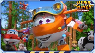[SUPERWINGS5 Compilation] Sunny! | Super Pets | Superwings Full Episodes | Super Wings