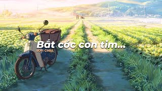 Bắt cóc con tim, Em Là Nhất, Đường Tôi Chở Em Về, … Playlist lofi cực hot tiktok cho ngày vui vẻ!!