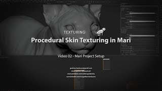 02 - How to texture skin in Mari - Mari Project Setup