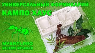 Кампо Хаус - универсальный формикарий для муравьев