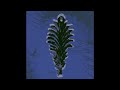 Dj Sodeyama - Tohil【Decay Of Reason】