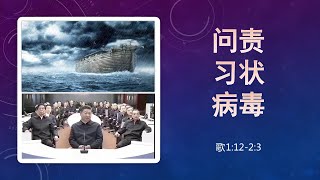 雅歌第三课：问责习状病毒（引经据典与雅歌释经的基本方法，路德神学的框架修正。论民族-爱国主义的邪灵。雅歌与离骚中的香草美人）【雅歌1:12-2:3，2020年3月22日】