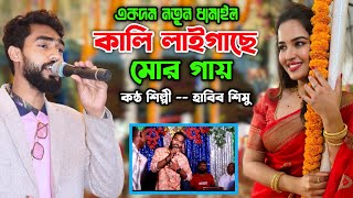 একদম নতুন ধামাইল | কালি লাইগাছে মোর গায় | হাবিব শিমু বিয়ের গীত | Sylheti damil |Sumon Hd