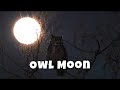 Owl Moon song with motions