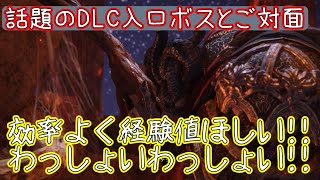 【ELDEN RING】経験値稼ぎの場を目指していきます【配信まとめ】