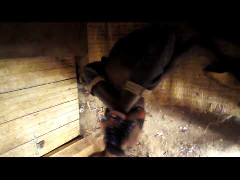 Udukoryo Dusekeje 2 Youtube